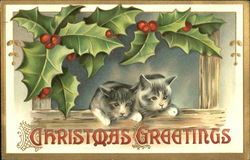 Christmas Greetings Cats Postcard Postcard