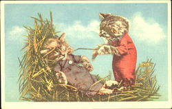 Cats in Straw Postcard Postcard