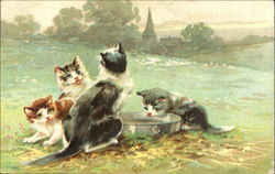 Cats in the Field Postcard Postcard