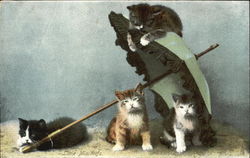 Little Mischiefs Cats Postcard Postcard