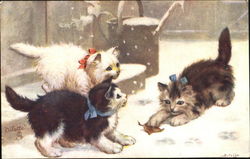 Kittens Playing in Snow Cats Postcard Postcard