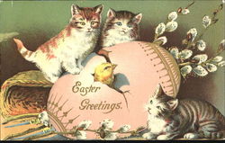 Easter Greetings Cats Postcard Postcard