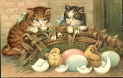 Easter Greetings Cats Postcard Postcard