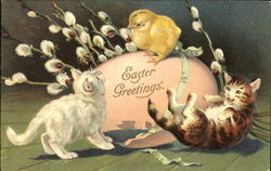 Easter Greetings Cats Postcard Postcard