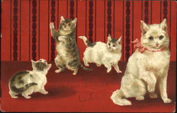 Cats Postcard