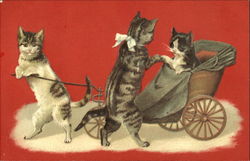 Cats in Carriage Postcard