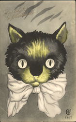 Hartelyk Gefeliciteerd Cats Postcard Postcard