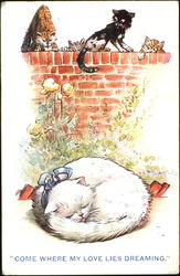 Come Where My Love Lies Dreaming Cats Postcard Postcard