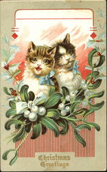 Christmas Greetings Cats Postcard Postcard