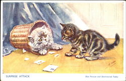 Surprise Attack Cats Postcard Postcard