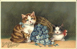 Birthday Greetings Cats Postcard Postcard