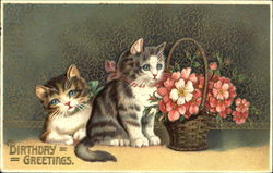 Birthday Greetings Cats Postcard Postcard