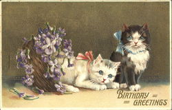 Birthday Greetings Cats Postcard Postcard