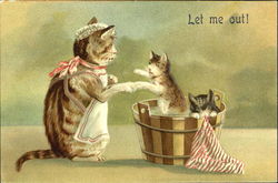 Let Me Out! Cats Postcard Postcard