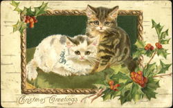 Christmas Greetings Postcard