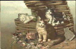 Cats In A Crate Postcard Postcard