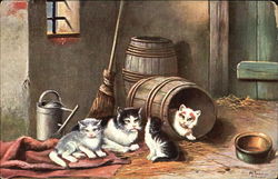 Kittens in Barn Cats Postcard Postcard