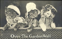 Over The Garden Wall Cats Postcard Postcard