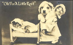 Oh! For A Little Rest Cats Postcard Postcard