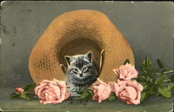 Ketty And The Rose Cats Postcard Postcard