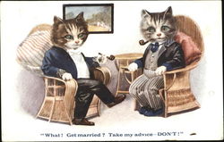 Cats in Suits with Pipes Postcard Postcard