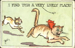 I Find This A Very Lively Place! Cats Postcard Postcard