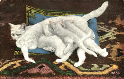 Nursing Kittens Postcard