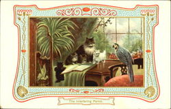 The Interfering Parrot Cats Postcard Postcard