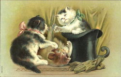 Cats Playing Postcard Postcard