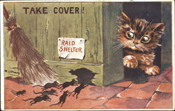 Take Cover Cats Postcard Postcard