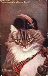 Tom Tom The Pipers Son Cats Postcard Postcard