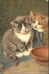 Singing Kittens Cats Postcard Postcard