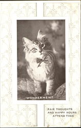 Wonderment Postcard