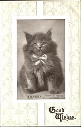 Topsey Good Wishes Postcard