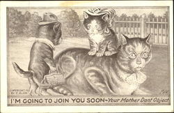 Courting Cats Postcard Postcard