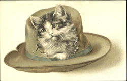 Cat in Worn Hat Cats Postcard Postcard