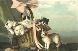 Kittens in a Basket Cats Postcard Postcard