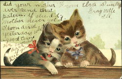 Singing Cats Postcard Postcard