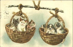 Kittens and Puppies in Baskets Cats Postcard Postcard