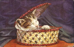 Contentment Postcard