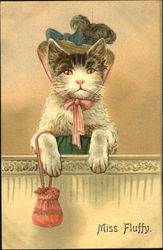 Miss Fluffy Cats Postcard Postcard