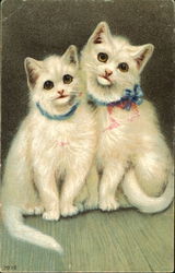 Two white cats in the house Postcard Postcard