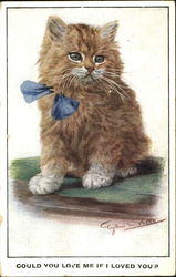 Could You Love Me If I Loved You? Cats Postcard Postcard