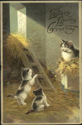 Kittens in Barn Cats Postcard Postcard