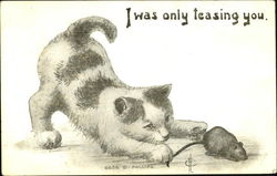 I Was Only Teasing You Cats Postcard Postcard