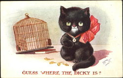 Guess Where The Dicky Is? Cats Postcard Postcard