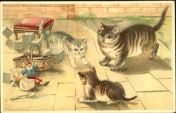 Playful cats Postcard