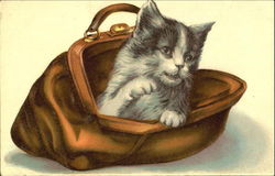 Cat in Bag Postcard