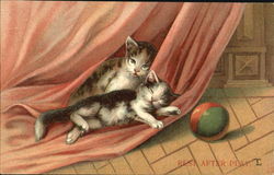 Rest After Play Cats Postcard Postcard