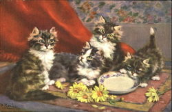 Kittens with Saucer Postcard